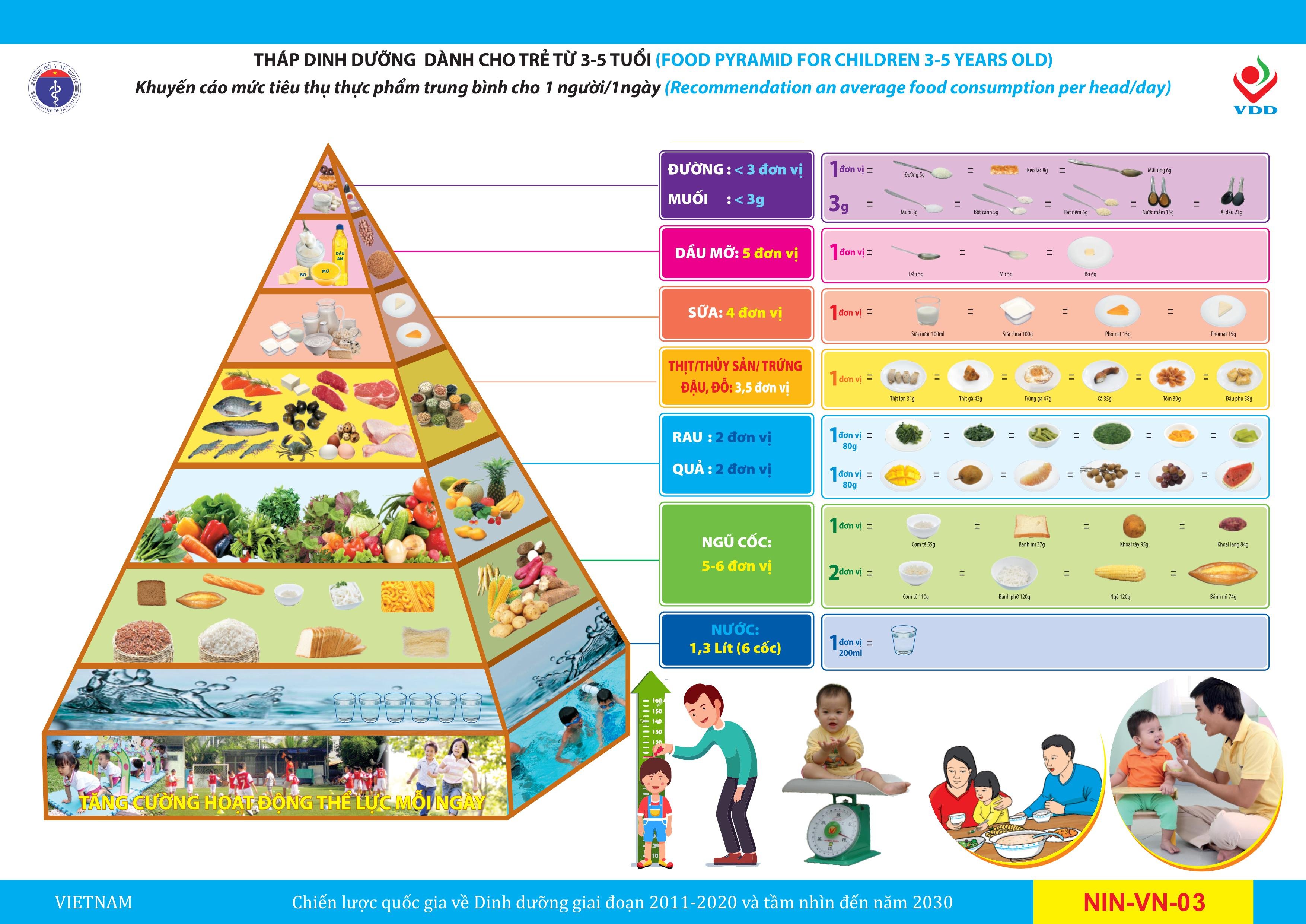 tháp dinh dưỡng hợp lý với người Việt Nam