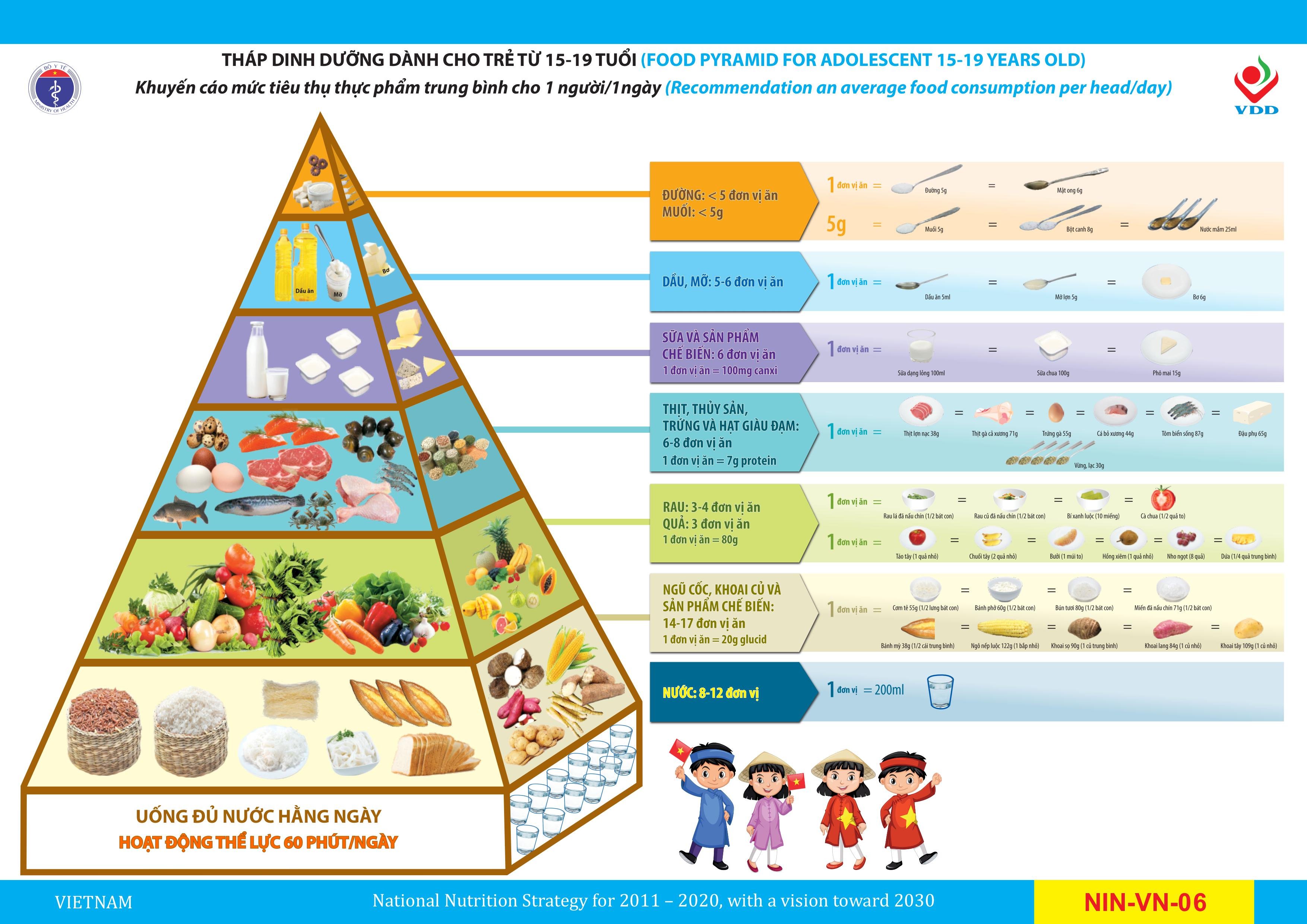 tháp dinh dưỡng hợp lý với người Việt Nam