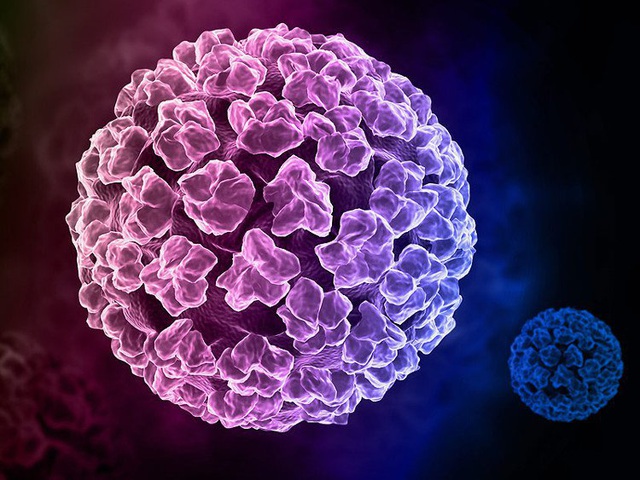 Vắc xin phòng ung thư có giúp miễn nhiễm hoàn toàn với bệnh? - 2