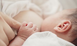 Vì sao sữa mẹ là thức ăn tốt nhất cho trẻ ?