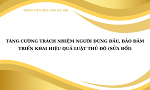 Tăng cường trách nhiệm người đứng đầu, bảo đảm triển khai hiệu quả Luật Thủ đô (sửa đổi)