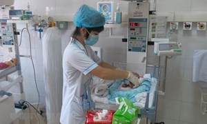 Hà Nội: Nhiều trẻ sơ sinh được cứu từ kỹ thuật đặt ống thông tĩnh mạch