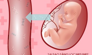 Xét nghiệm NIPT -  Giải pháp an toàn cho mẹ và bé