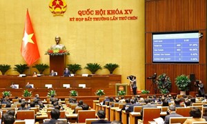 Luật số 63/2025/QH15 - Luật tổ chức chính phủ