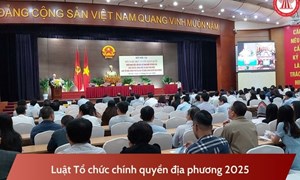 Luật số 65/2025/QH15 - Luật Tổ chức chính quyền địa phương