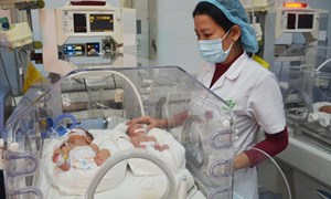 Công đoàn khoa Sơ sinh Bệnh viện Phụ Sản Hà Nội nâng cao trình độ chuyên môn và chất lượng chăm sóc, điều trị trẻ sơ sinh