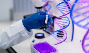 Gene bệnh di truyền, nguy cơ thầm lặng ở người khỏe mạnh