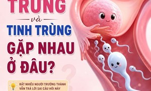 Tử cung là nơi trứng gặp tinh trùng ?????????????