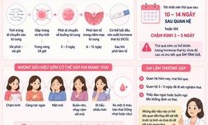 BAO LÂU THÌ BIẾT CÓ THAI?