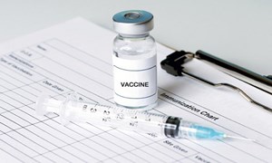 Phụ nữ mang thai có thể tiêm vắc-xin phòng bạch hầu hay không?