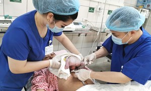 Sự chăm sóc toàn diện cho trẻ sơ sinh tại Bệnh viện Phụ sản Hà Nội