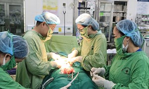 Phẫu thuật thành công khối u xơ tử cung trong dây chẳng rộng, kích thước 25cm, nặng 3kg