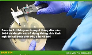 Thông tin thuốc - Bản tin Dược Lâm Sàng số 12 năm 2026