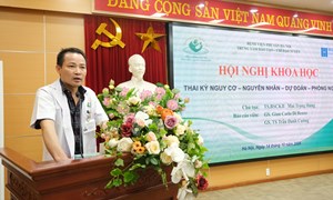 Sinh hoạt khoa học: 