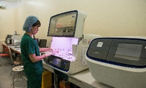 Bệnh viện Phụ Sản Hà Nội: Áp dụng chuyên ngành đặc biệt “giải cứu” bào thai