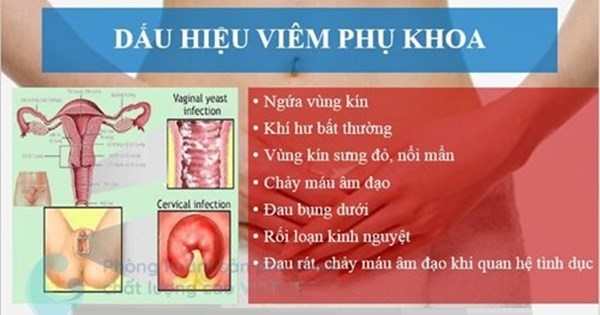 7. Tài Nguyên Hỗ Trợ và Liên Hệ Chuyên Gia