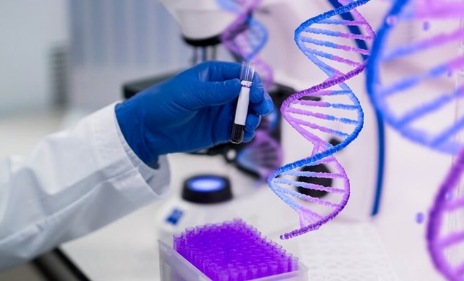 Gene bệnh di truyền, nguy cơ thầm lặng ở người khỏe mạnh