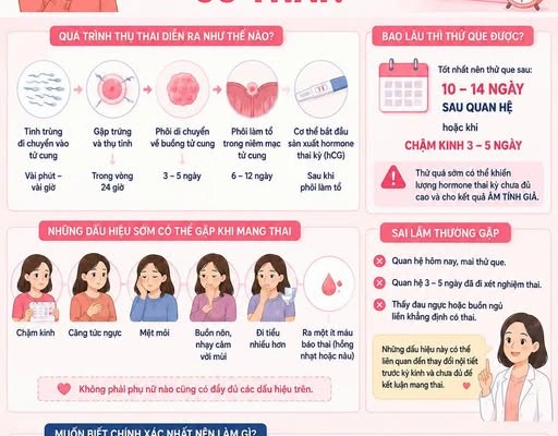 BAO LÂU THÌ BIẾT CÓ THAI?
