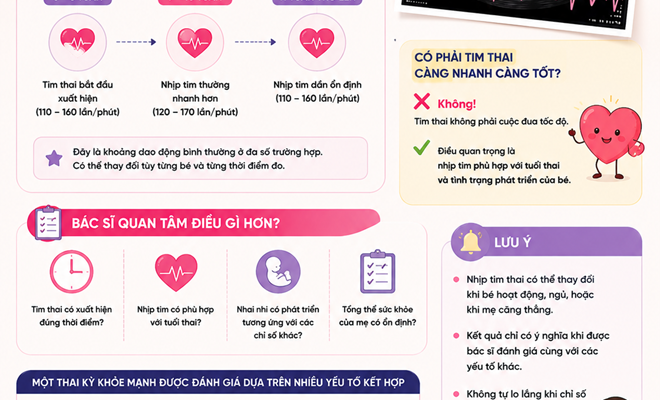 NHỊP TIM THAI BAO NHIÊU LÀ BÌNH THƯỜNG? CÓ PHẢI TIM THAI CÀNG NHANH CÀNG TỐT?