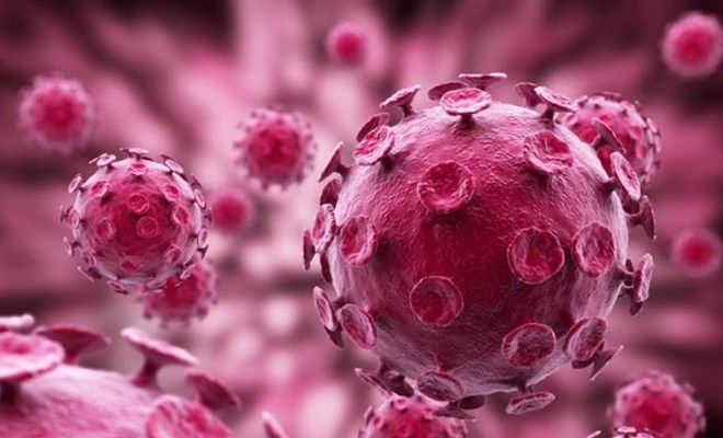 Vi rút HPV: nguy cơ và cách phòng ngừa hiệu quả