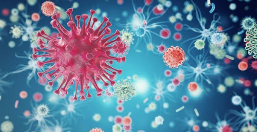 Viêm gan virus B có thể lây truyền từ mẹ sang con